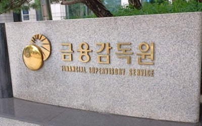  보험사 '실적 부풀리기' 논란에…IFRS17 '대수술'