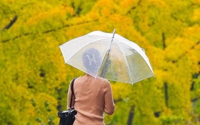 전국 흐리고 남해안·제주도 비…낮 최고 18∼22도