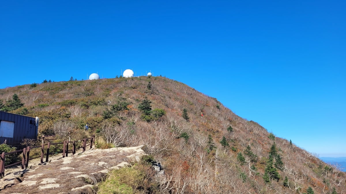 지난 4일 설악산 일대에서 올해 첫 단풍이 관측됐다. 산림의 50%가 물드는 단풍 절정기는 오는 22일로 예년과 비교해 5일가량 늦어질 전망이다. 사진=뉴스1