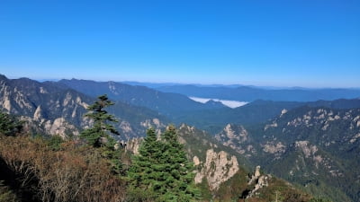 "여친이 설악산서 길 잃었어요"…스웨덴서 걸려온 119 신고