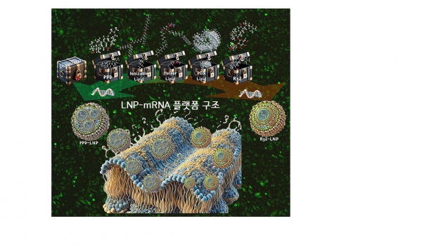 지노믹트리가 개발한 mRNA 기반 치료제 플랫폼 기술, 영국 왕립화학회 저널 표지 논문으로 채택