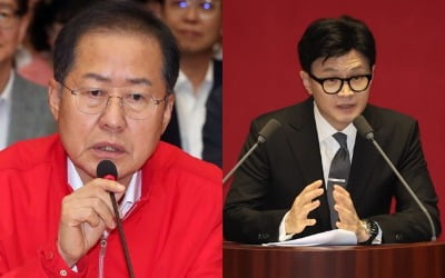 "정치 초보가 여론조작질부터 배워"…홍준표, 한동훈 직격