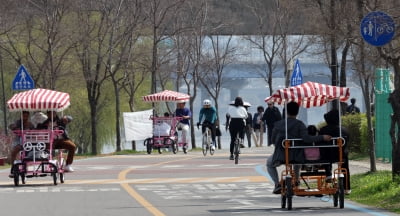 한강공원 자전거 대여료 20년만에 10% 인상…따릉이는 동결