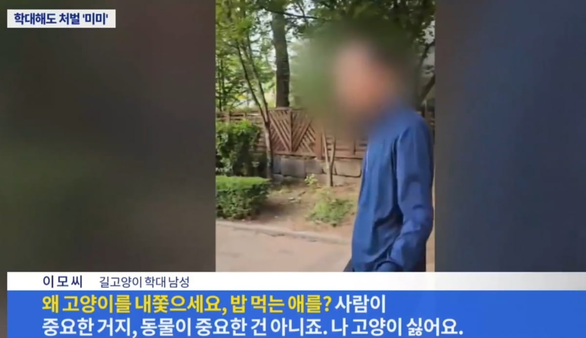 길카지노 꽁머니를 학대하다 재물손괴 혐의로 재판에 넘겨져 벌금 30만원을 선고 받은 60대 남성 이모씨. 사진=TV조선 보도 영상 갈무리