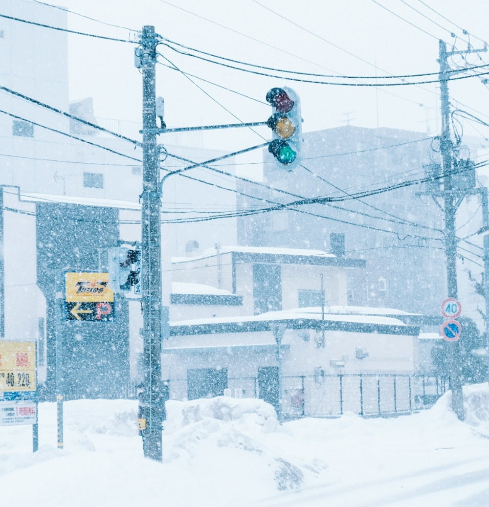 눈(雪)이 아니어도 즐길 것 천지인 삿포로..'예술의 숲' 아시나요 