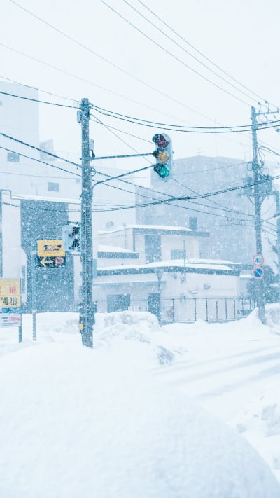 눈(雪)이 아니어도 즐길 것 천지인 삿포로..'예술의 숲' 아시나요