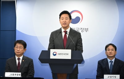 서울시 "내년엔 그린벨트 추가 해제 안한다"