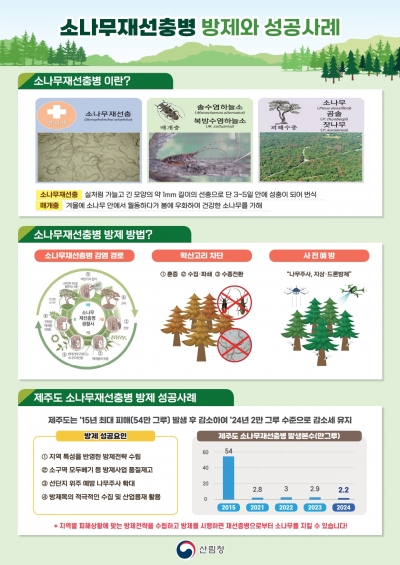 산림청, 예찰 확대·수종전환 등 소나무재선충병 집중 방제 추진