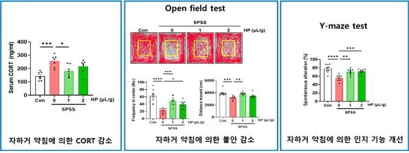 동물 모델에서 자하거 약침의 불안 감소와 인지기능 개선 효과 / 사진=한국한의학연구원 제공