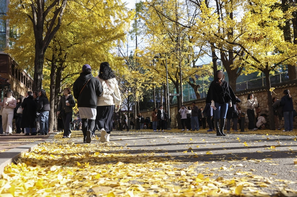 [포토] 낙엽 떨어지는 계절