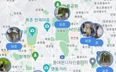 온라인카지노추천가 잃어버린 반려동물 찾아준다…50마리 주인 재회 도운 펫나우