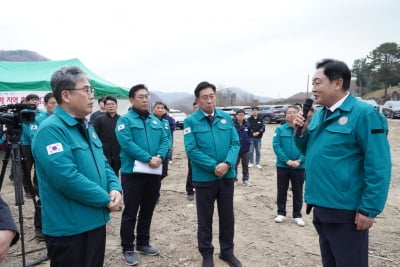 산림청, 경기권역 소나무재선충병 맞춤형 방제 전략 추진