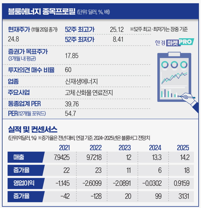 트럼프 재선에도 유일하게 웃은 美 신재생에너지 기업 [글로벌 종목탐구]