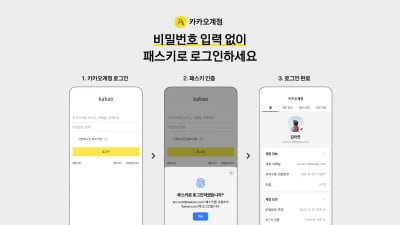 "비번 뭐더라" 기억 안 나도 'OK'…확 바뀐 카카오 로그인