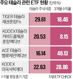 "진작 살 걸" 머스크 덕에 40% 폭등 …연금계좌 대박 터졌다 [일확연금 노후부자]