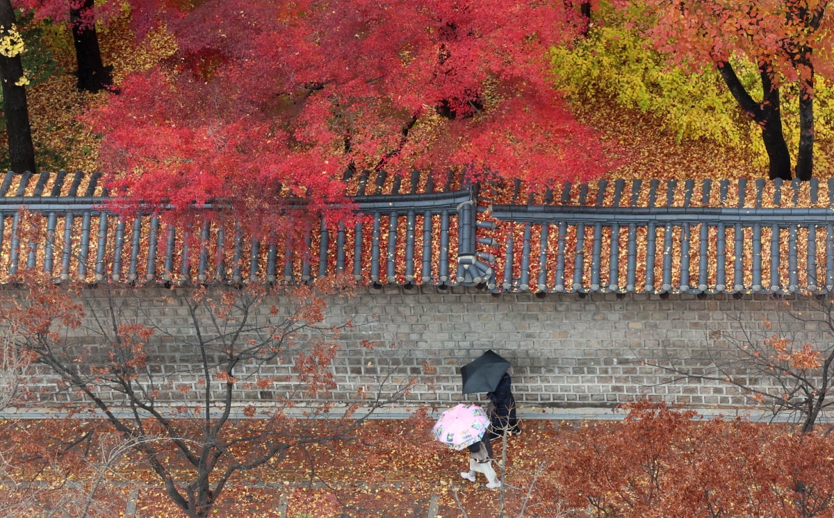 [포토] 가을아 가지마~ 