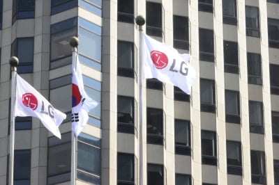 LG, 10대 국내 지주사 중 주당배당금 가장 높아