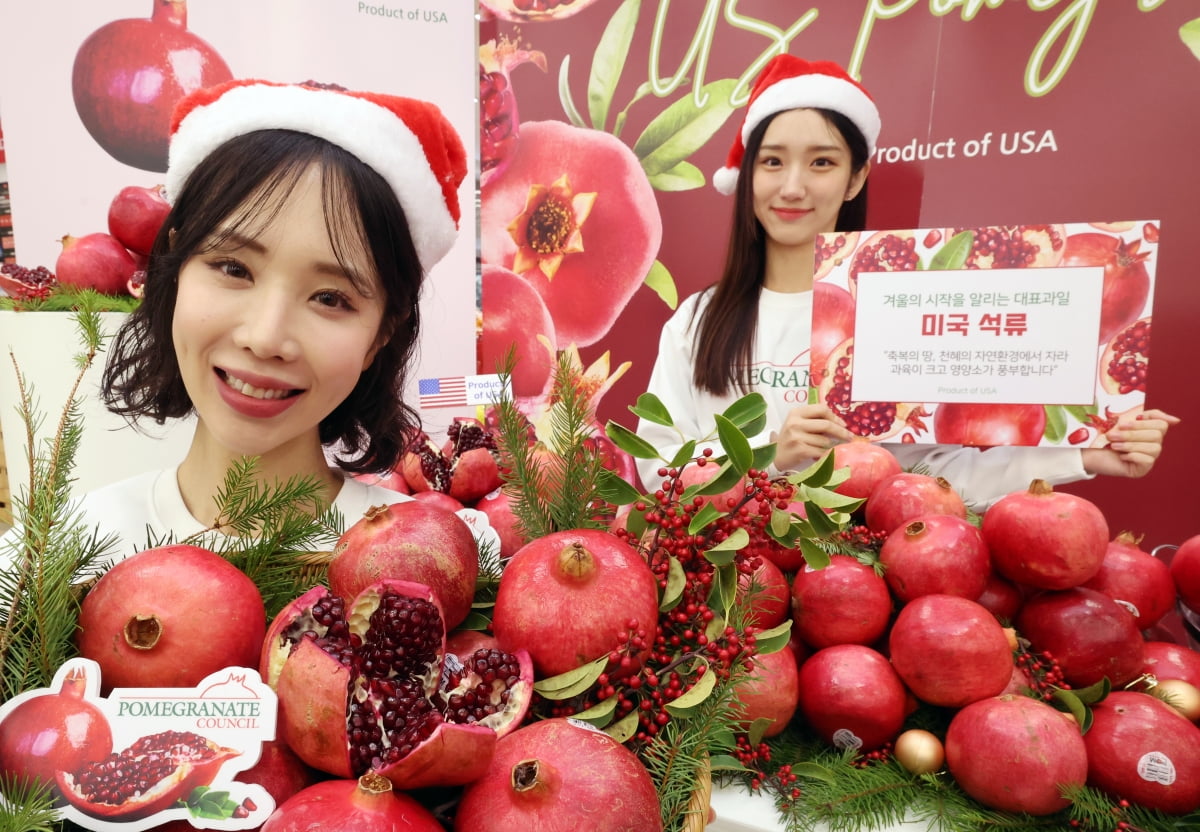 [포토] 항산화 물질이 풍부한 겨울과일 '미국석류' 출시