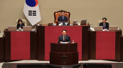 2025 경주 APEC 특별법 국회 통과..경주이름으로 제정된 첫 특별법