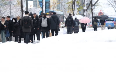 "카지노 꽁 무능" vs "공노비냐"…117년 만의 폭설에 시끌