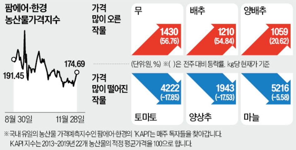 "김장 끝냈어야 했는데"…폭설에 배추값 뛰자 주부들 '한숨'