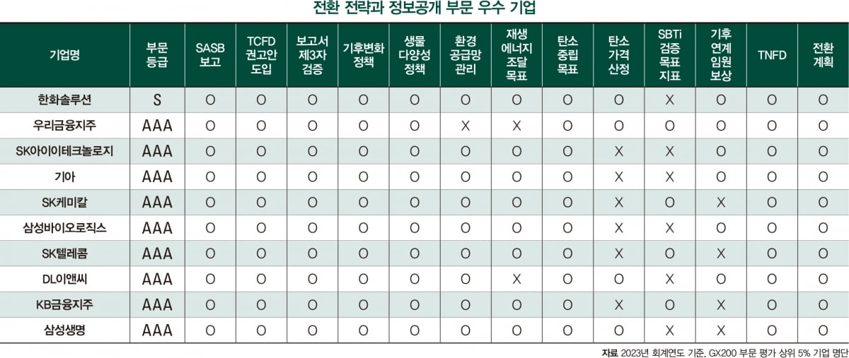 녹색 전환, 부문별 최상위 기업의 강점은