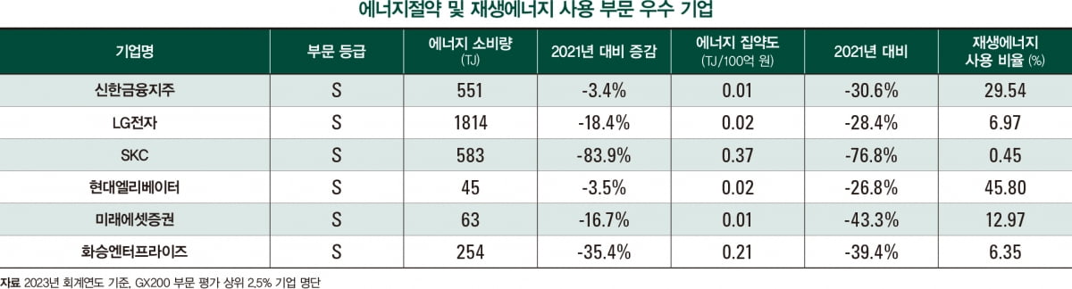 녹색 전환, 부문별 최상위 기업의 강점은