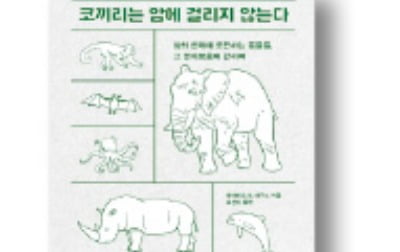 [책마을] 코끼리 암 발병률은 고작 5%라고?