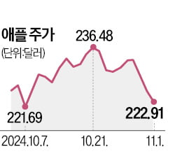 애플 3분기 순이익 뚝…아일랜드에 세금 19조 토해내