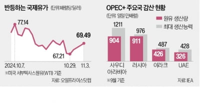 글로벌 경기 안갯속…산유국들 증산 미뤘다