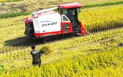 [홍성호 기자의 열려라! 우리말] 천고마비, '위기의 계절'서 '풍요의 계절'로