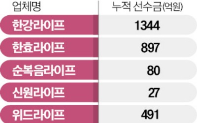 상조에 크루즈 끼워팔더니…"한 푼도 못 받게 생겼다" 발칵