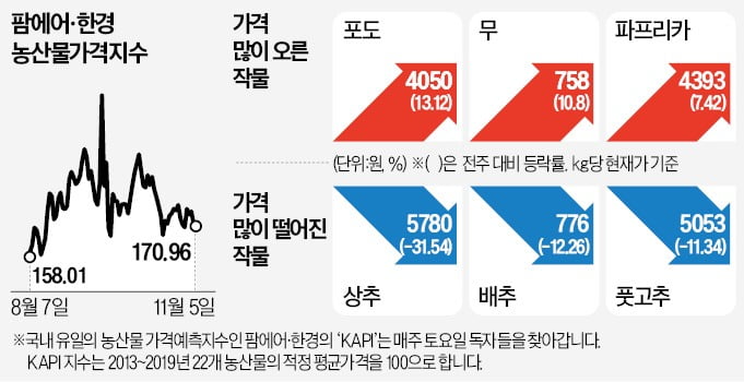 재배지 면적 50년來 최소…1년새 123% 뛴 무