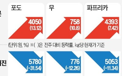 재배지 면적 50년來 최소…무, 1년새 123% 뛰어