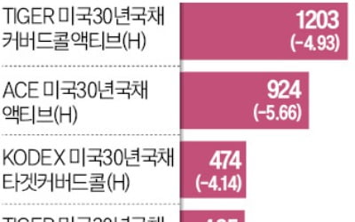 "한 달새 3000억 베팅했는데…" 美 장기채 ETF 산 개미들 '울상'