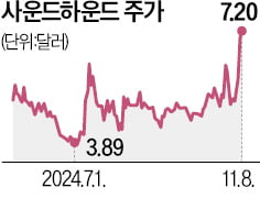 엔비디아가 찜한 사운드하운드, 올 200% 폭등