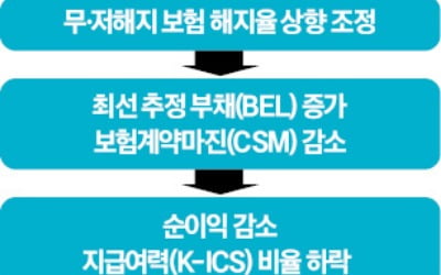 "보험 회계 예외 있지만 … 알지?"…원칙 모형 압박하는 카지노 찰리