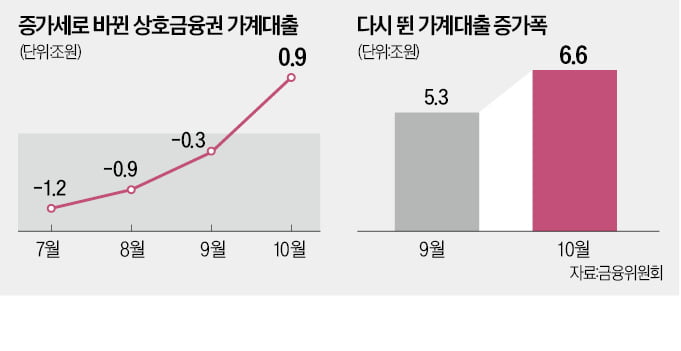 농협·새마을금고 가계대출 폭증에 칼 뺀다