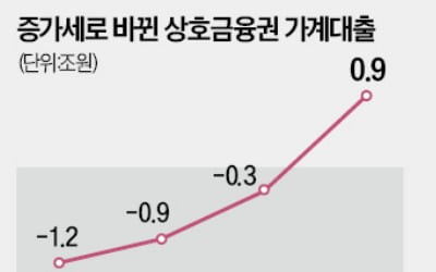 농협·새마을금고 가계대출 폭증에 칼 뺀다