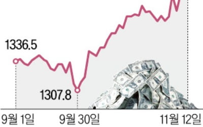 온라인 카지노 사이트 1400원 돌파…2년 만에 최고