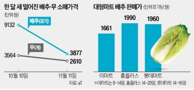 '金추' 끝났다…한 달 새 1포기 9100원→3800원