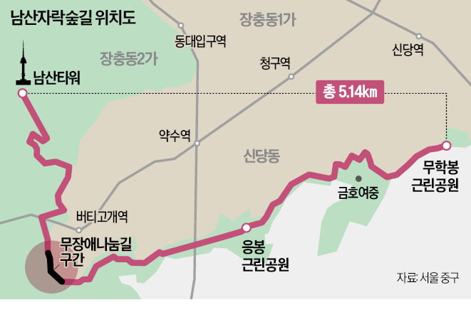 "유모차 밀며 산 속 걷기"…남산자락숲길 '인기'