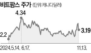 비트코인, 연일 고공행진…같이 뛸 '형제株'도 주목