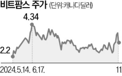 비트코인, 연일 고공행진…같이 뛸 '형제株'도 주목