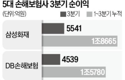 손보사 역대급 실적 랠리…DB vs 메리츠 '2위 싸움'