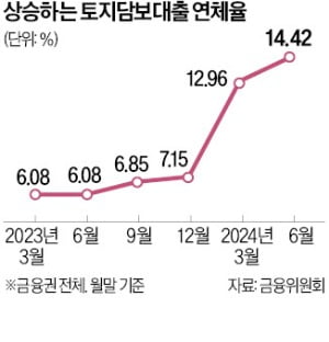 연체율 높은 온라인 바카라대출, 리스크 관리 강화한다