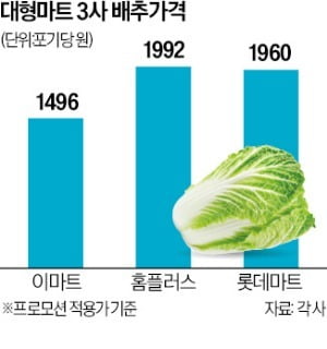 "괜히 미리 주문했네"…'금배추'라더니 지금은 '깜짝'