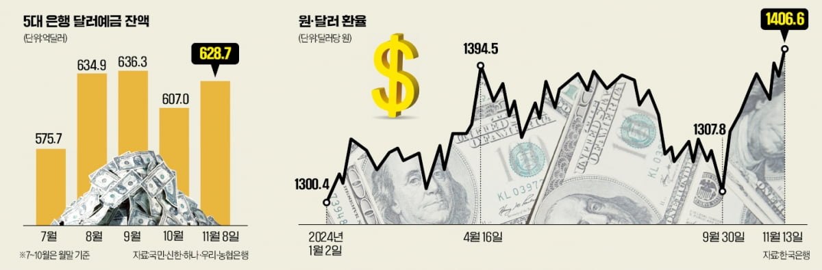 스트롱맨이 쏜 '달러기둥'…달러예금 들면 '환차익＋이자'