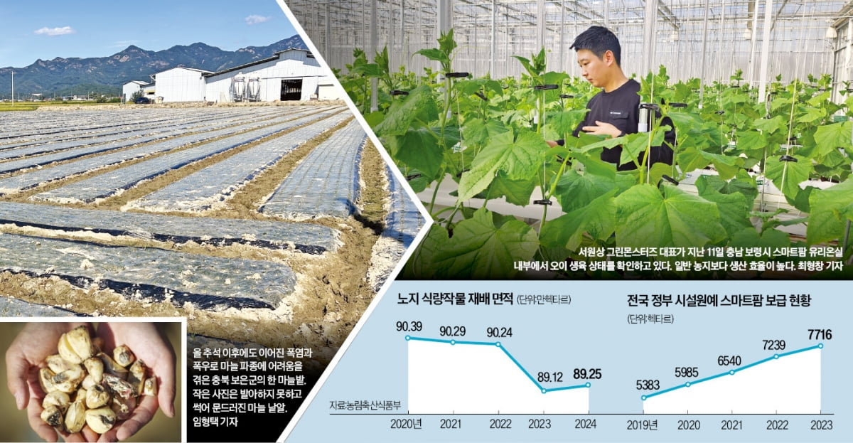 노지농가, 폭우에 농사 망칠 때…스마트팜, AI로 1.5배 빨리 키웠다