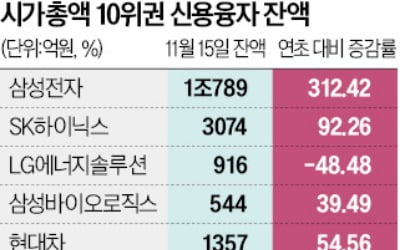 개미들 '빚투' 1.2조 늘었다…셀트리온·하이닉스 등 집중